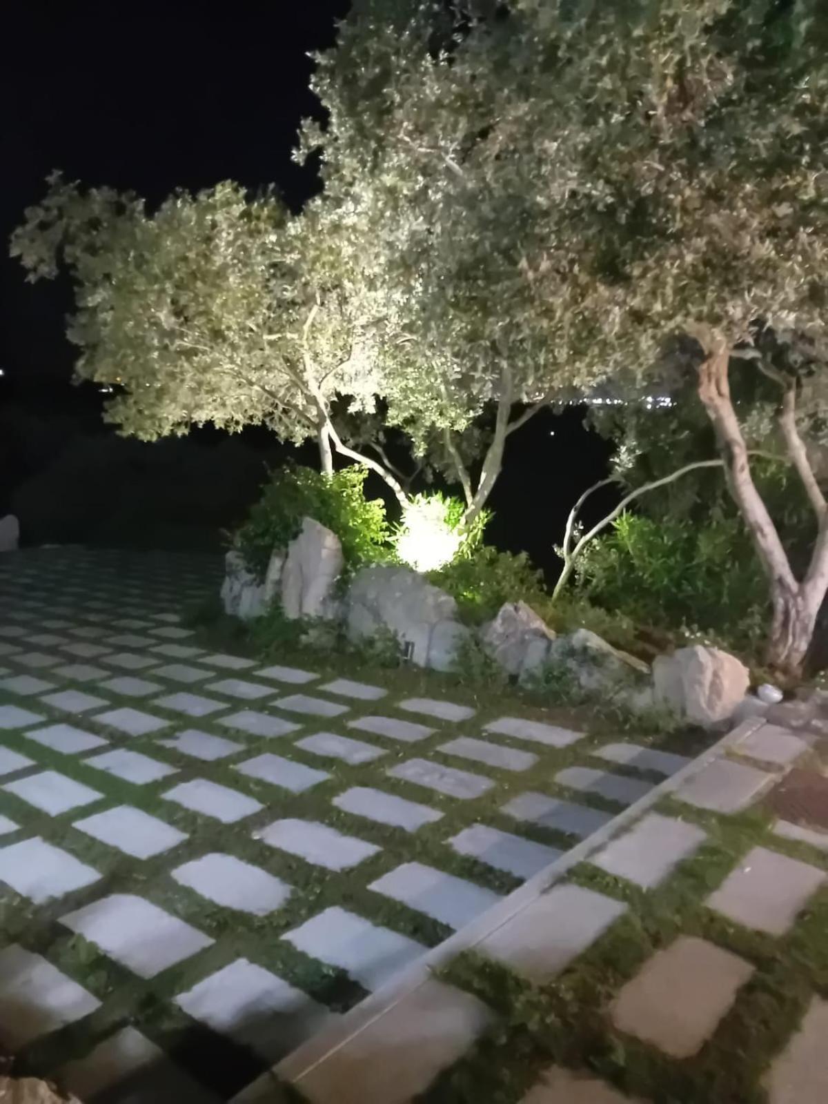Li Petri Manni Bed and Breakfast Olbia Eksteriør billede
